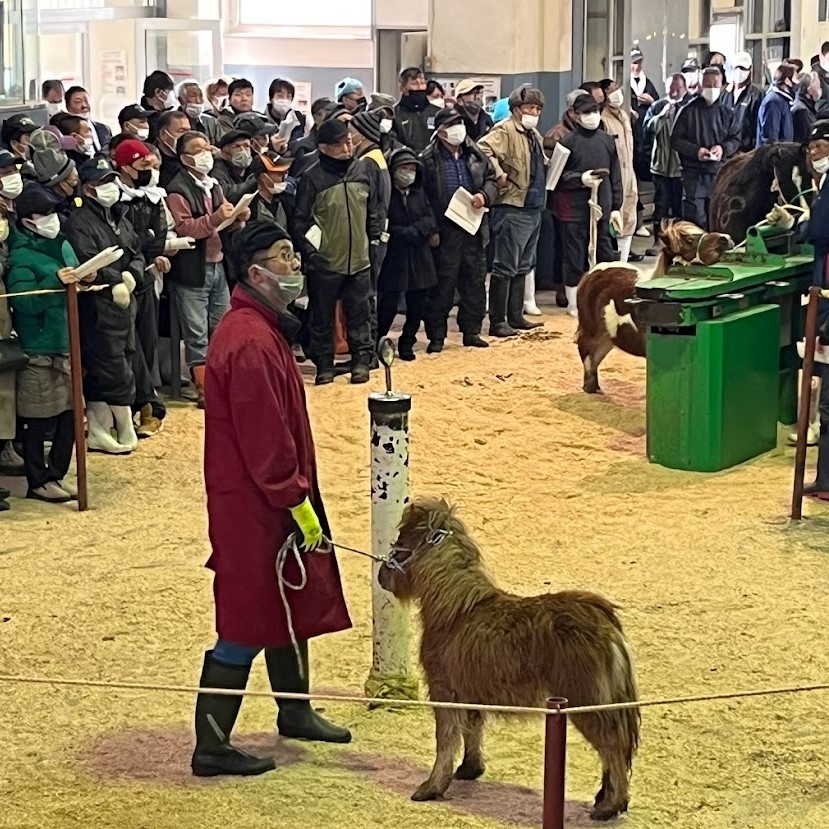 ホクレン馬市場